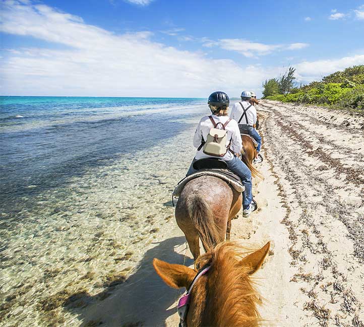 Horse Riding in Barbados