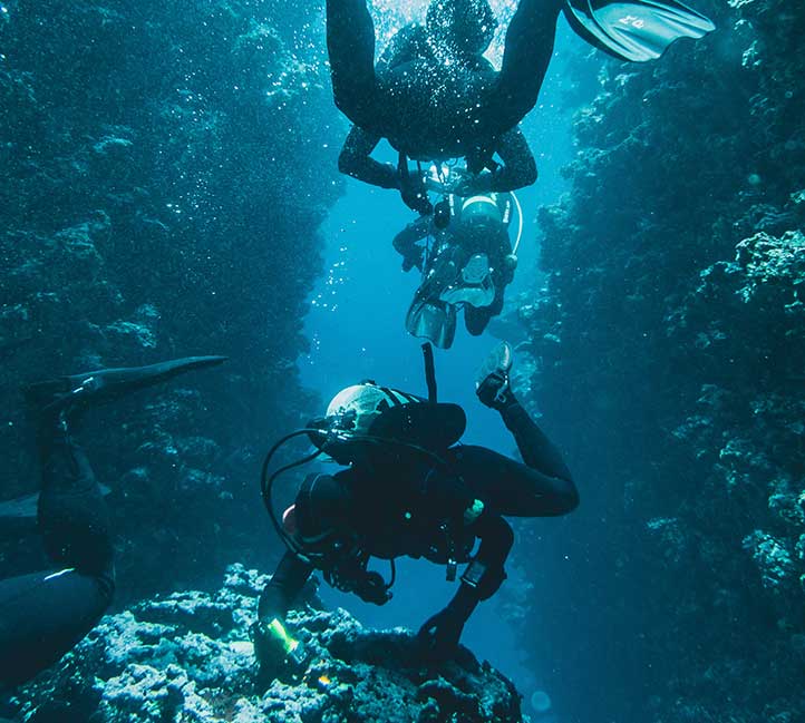 Diving in Barbados