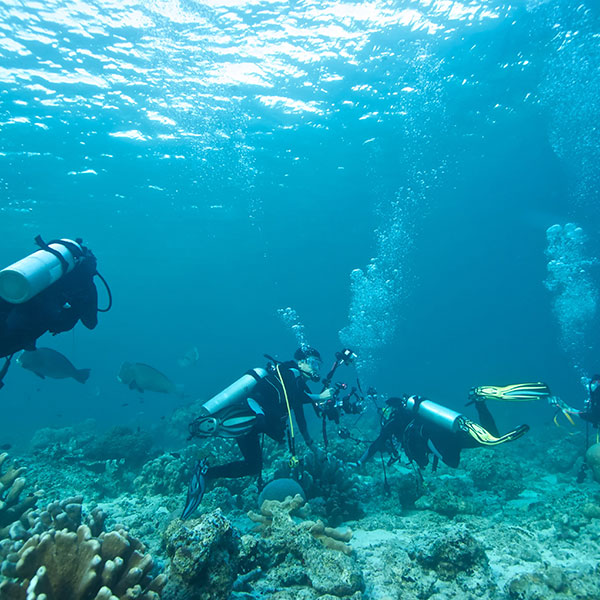 Diving in Bali