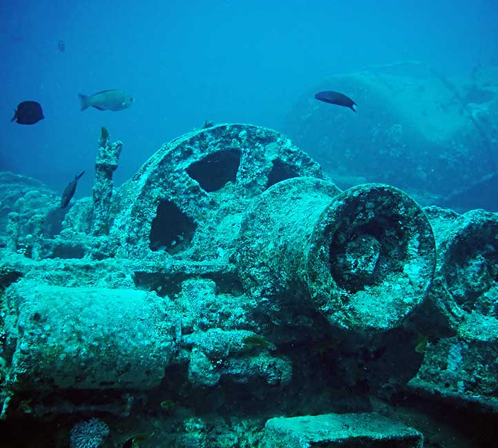 Diving near a shipwreck in Barbados