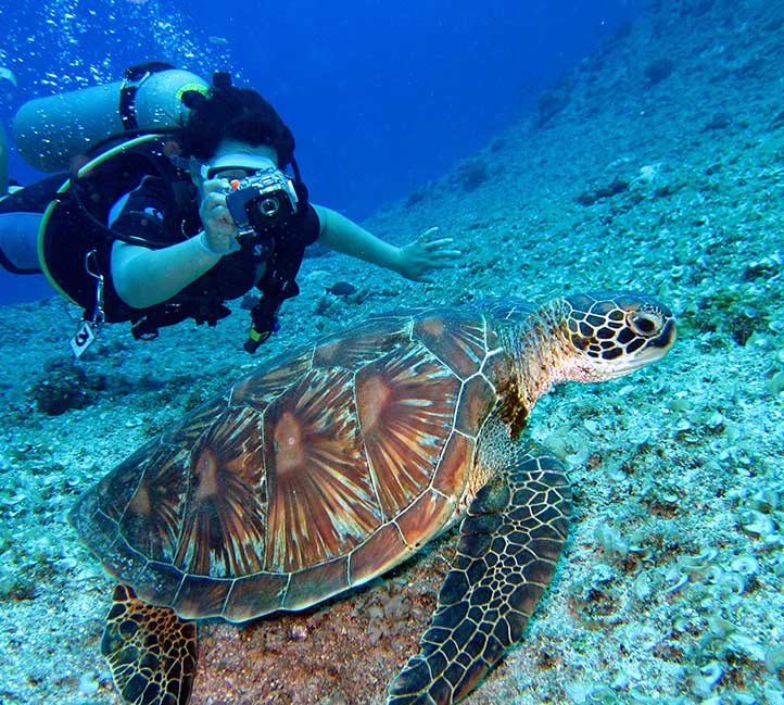 Diving in Barbados