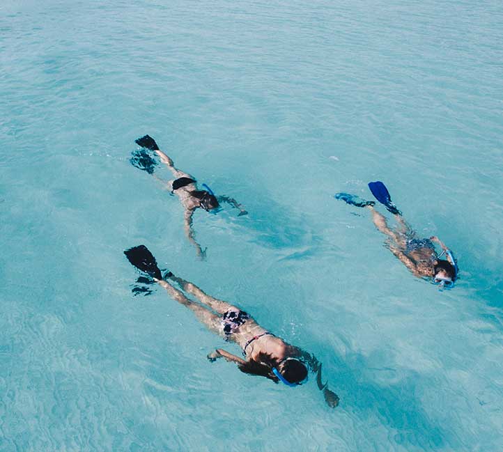 Snorkeling in Barbados Group