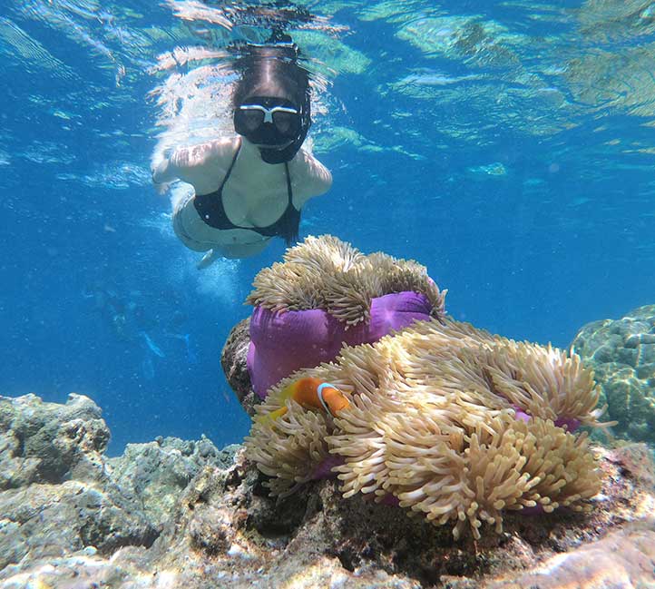 Snorkeling in Barbados