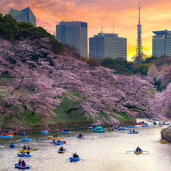 Chidorigafuchi park
