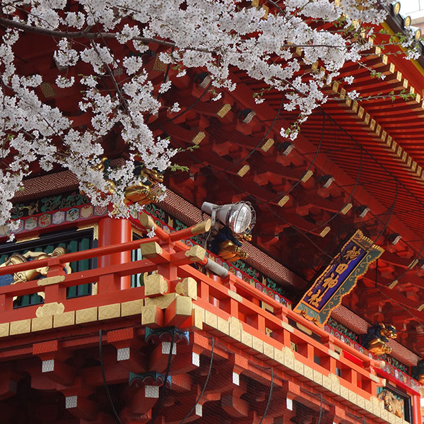 Kanda