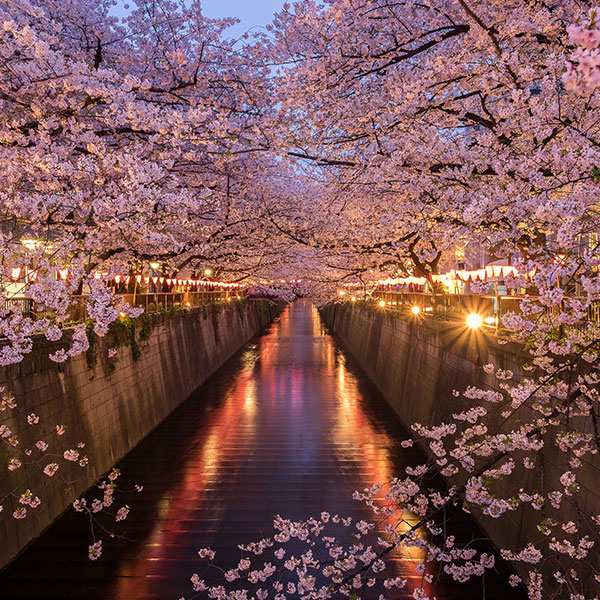 Meguro River
