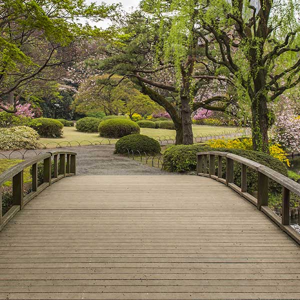 Shinjuku Gyoen