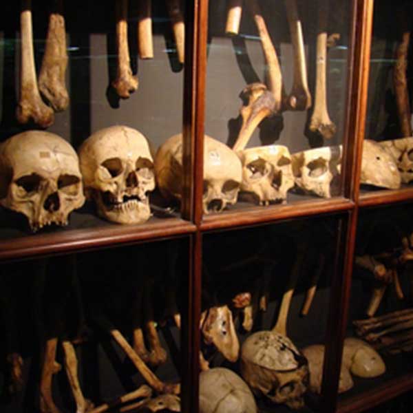 Vrolik Museum