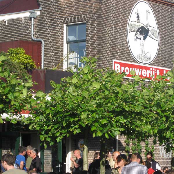Brouwerj