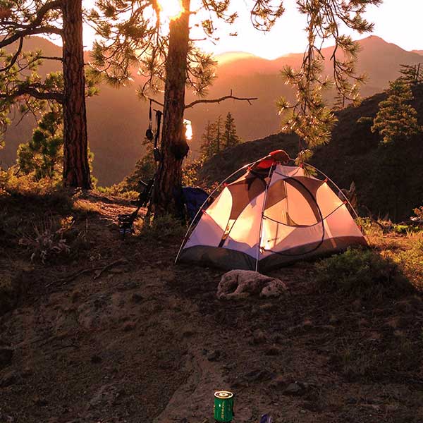 camping tourism sydney