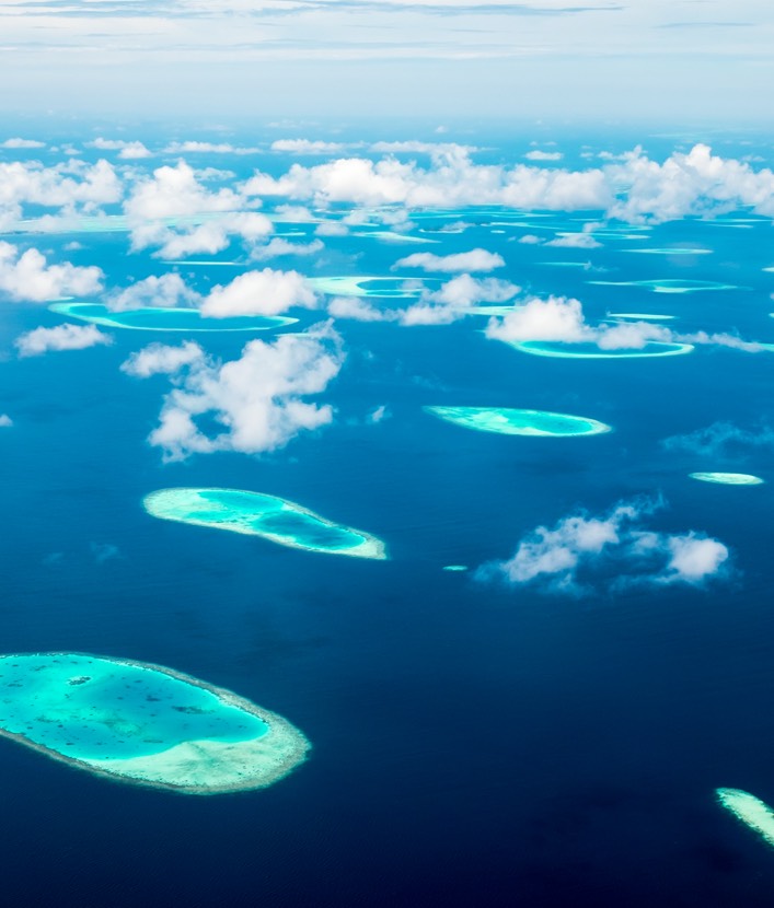 Maldives Birdseye