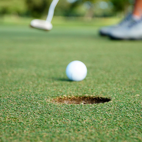 noria golf