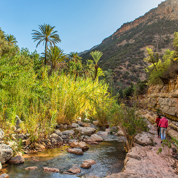 paradise valley