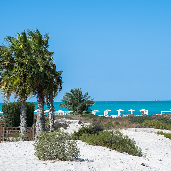 saadiyat-public-beach