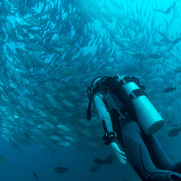 scuba-diving-cancun