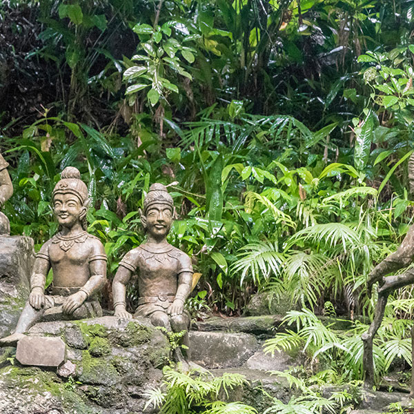 Tarnim-Magic-Garden