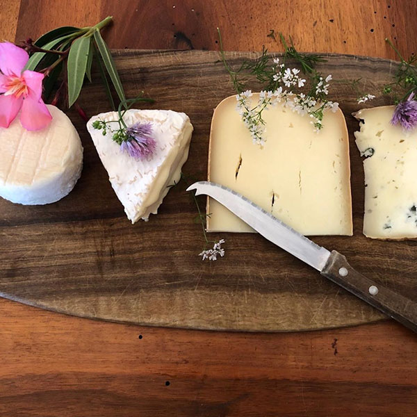 cheese-geek