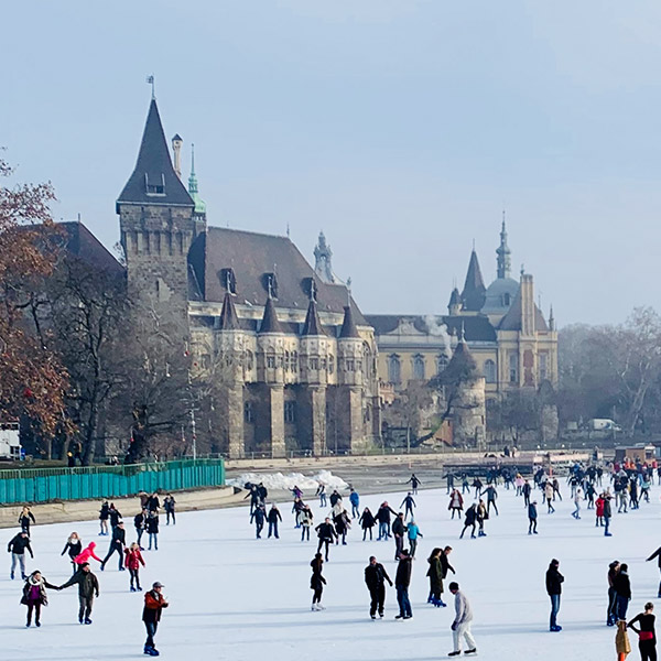 ice rink city park