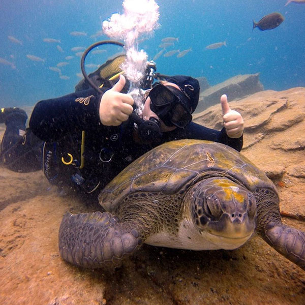 paradise.divers.tenerife