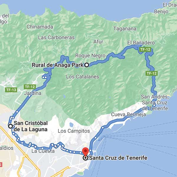 Anaga-Laurel-Forest-Loop