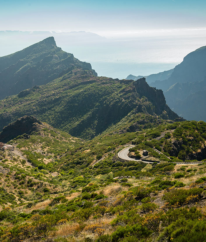 Tenerife mountain