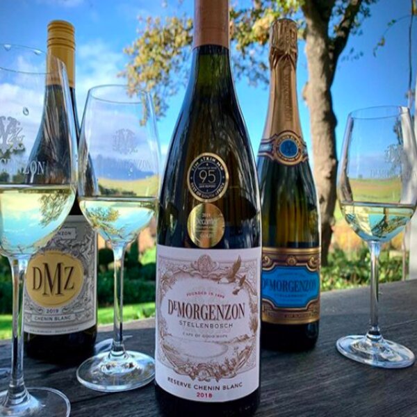 Cape Town DeMorgenzon Wine