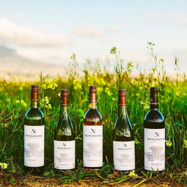 Cape Town Neethlingshof wines