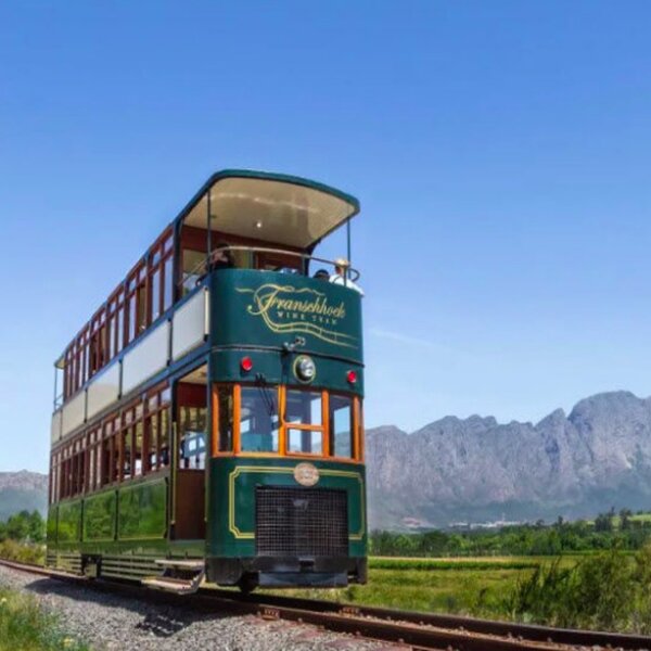 Cape Town wine tram