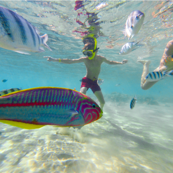 Mauritius kids