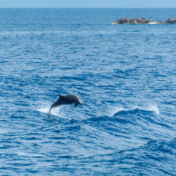 corfu megas choros