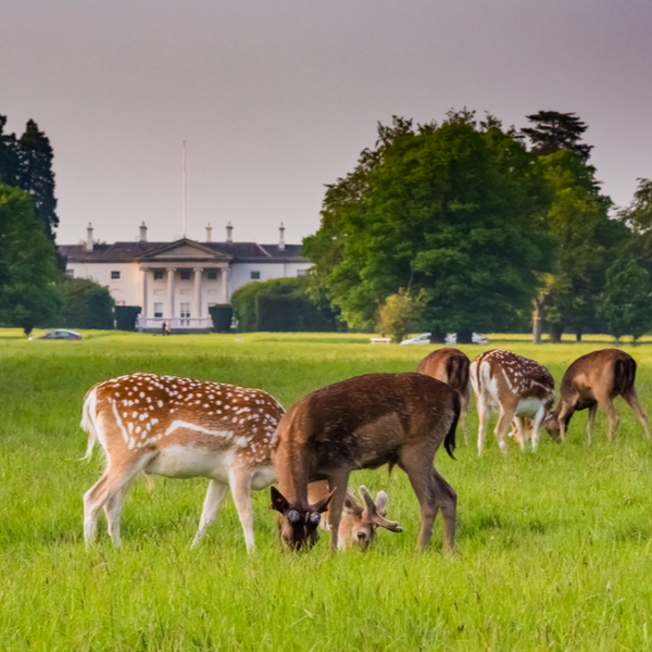 dublin phoenix park