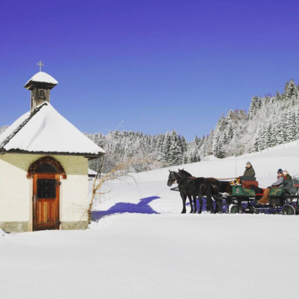 salzburg sleigh ride