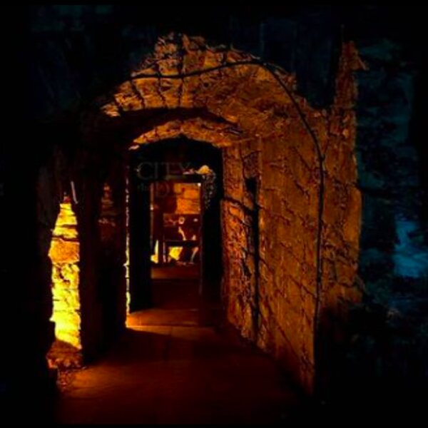 edinburgh city of dead tours