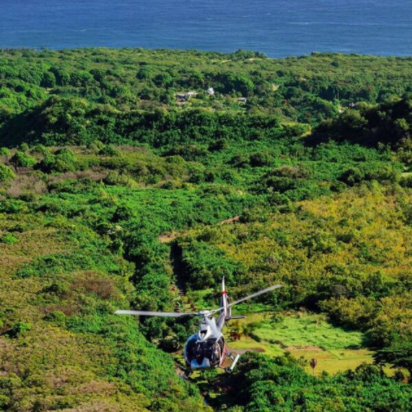 hawaii helicopter