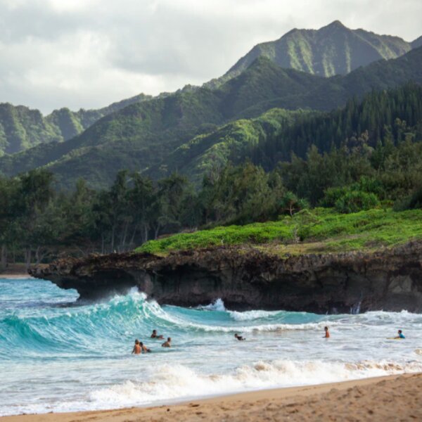 hawaii surfers
