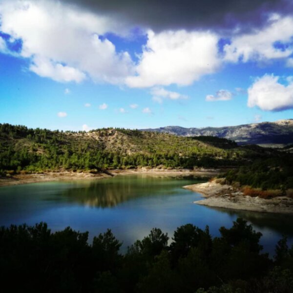 rhodescape