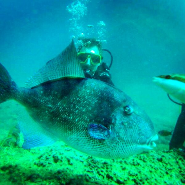 stingray diving