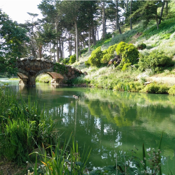 stow lake