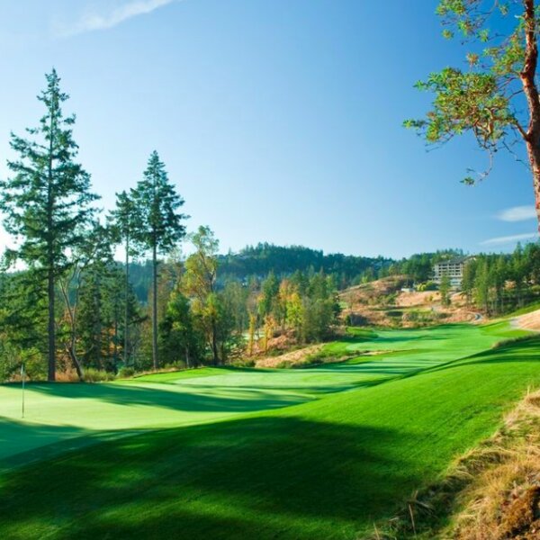 bear mountain golf