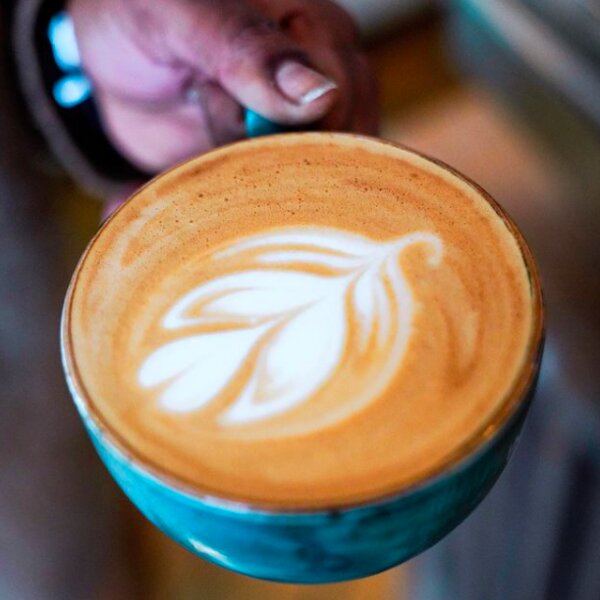 caffe latte cup from impact roasters