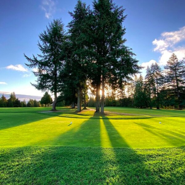 university golf