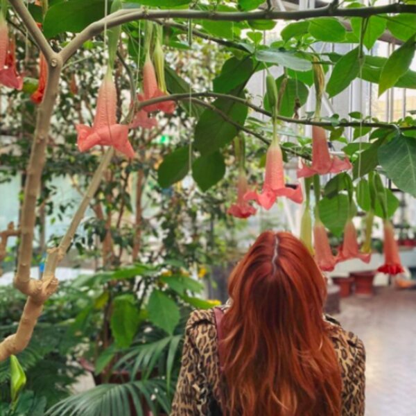 london indoor garden