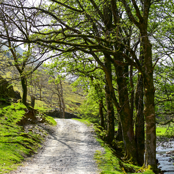 lake district cycle route