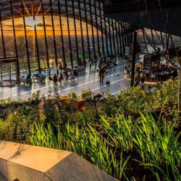 london rooftop garden