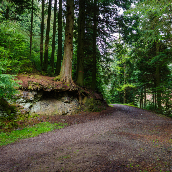 lake district cycle route