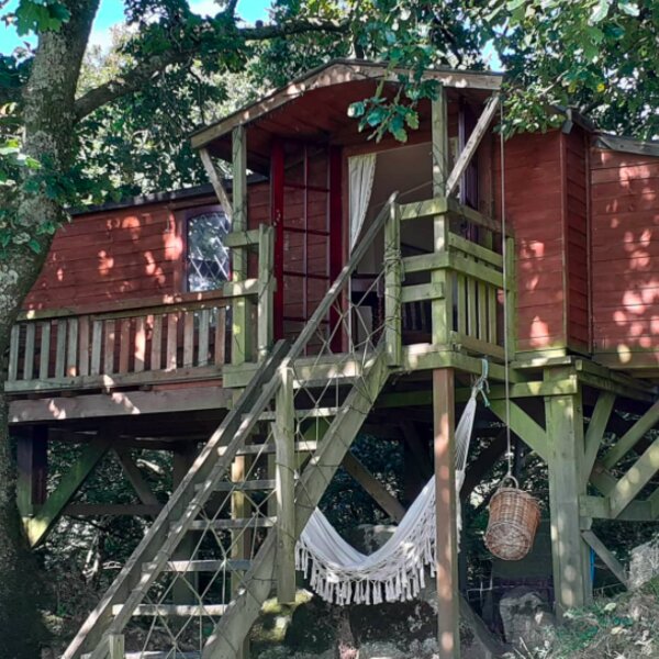 treehouse camping cornwall