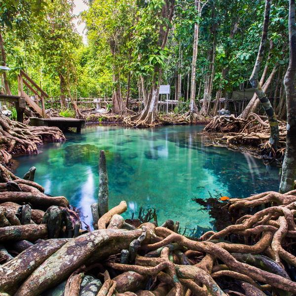 Tha Pom Khlong Song Nam krabi