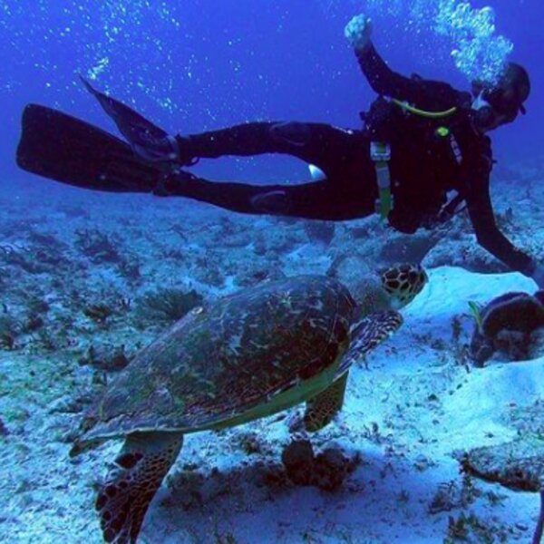 beginner diving riviera maya