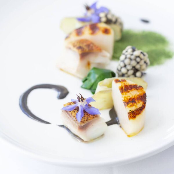 seafood dish at split restaurant