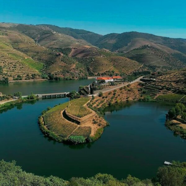 porto wine tour